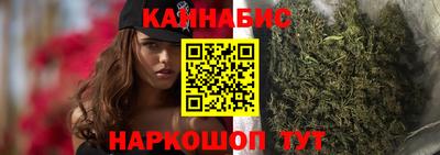 сатива Краснодар