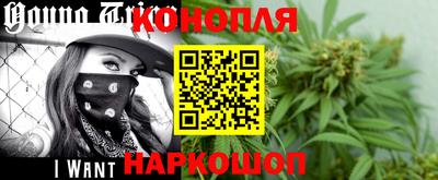 сатива Краснодар