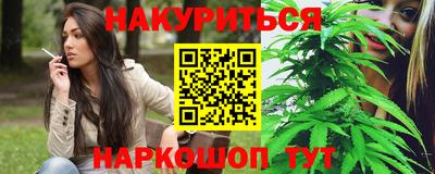 сатива Краснодар